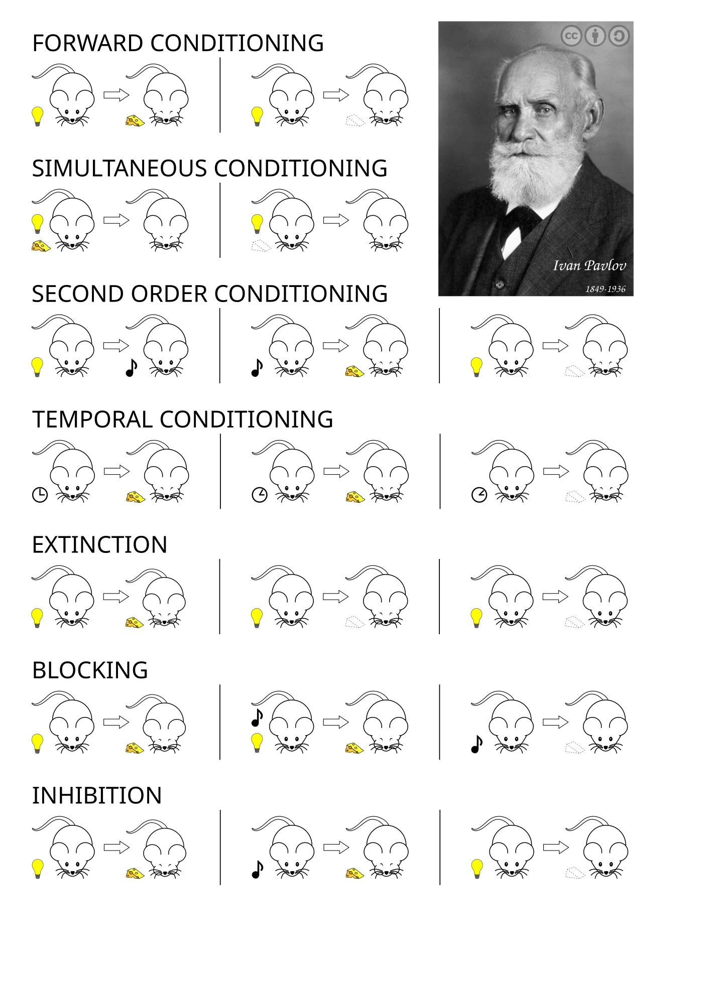 Illustrated reference of classical conditioning procedures using cartoon mice, lightbulbs, and cheese. Panels show forward conditioning, simultaneous conditioning, second-order conditioning, temporal conditioning, extinction, blocking, and inhibition, with a portrait of Ivan Pavlov in the corner
