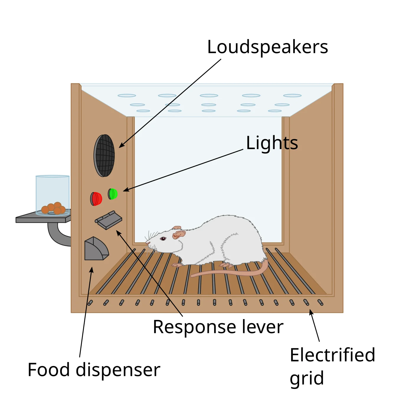 Labeled schematic of an operant conditioning chamber (Skinner box) with a rat inside, showing loudspeakers and lights at the top as discriminative stimuli, a response lever in the middle, a food dispenser on one side, and an electrified grid floor for aversive stimuli