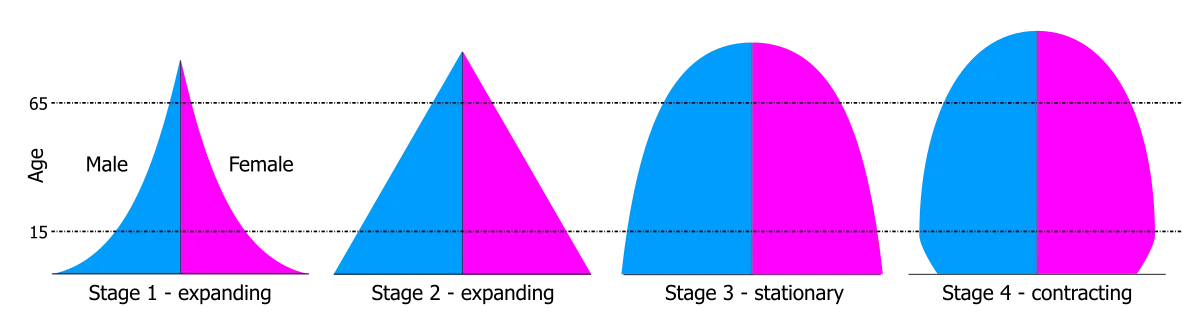 Diagram showing four side-by-side population pyramids representing the demographic transition. Stage 1 'expanding' is a tall narrow triangle with a broad base; Stage 2 'expanding' is a similar but bigger triangle with steeper sides; Stage 3 'stationary' is a wider dome reaching up to age 65; Stage 4 'contracting' is an oval pillar with a slightly narrowed base, indicating few children