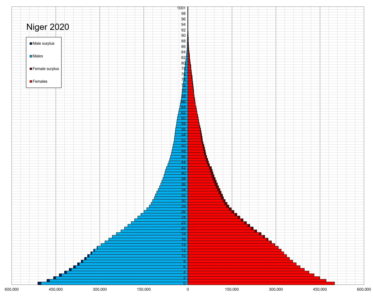 Population pyramid for Niger in 2020 with a steep triangular shape: each successive age band from infancy upward is dramatically narrower, with hundreds of thousands of children at age 0–2 tapering to almost no one above age 70