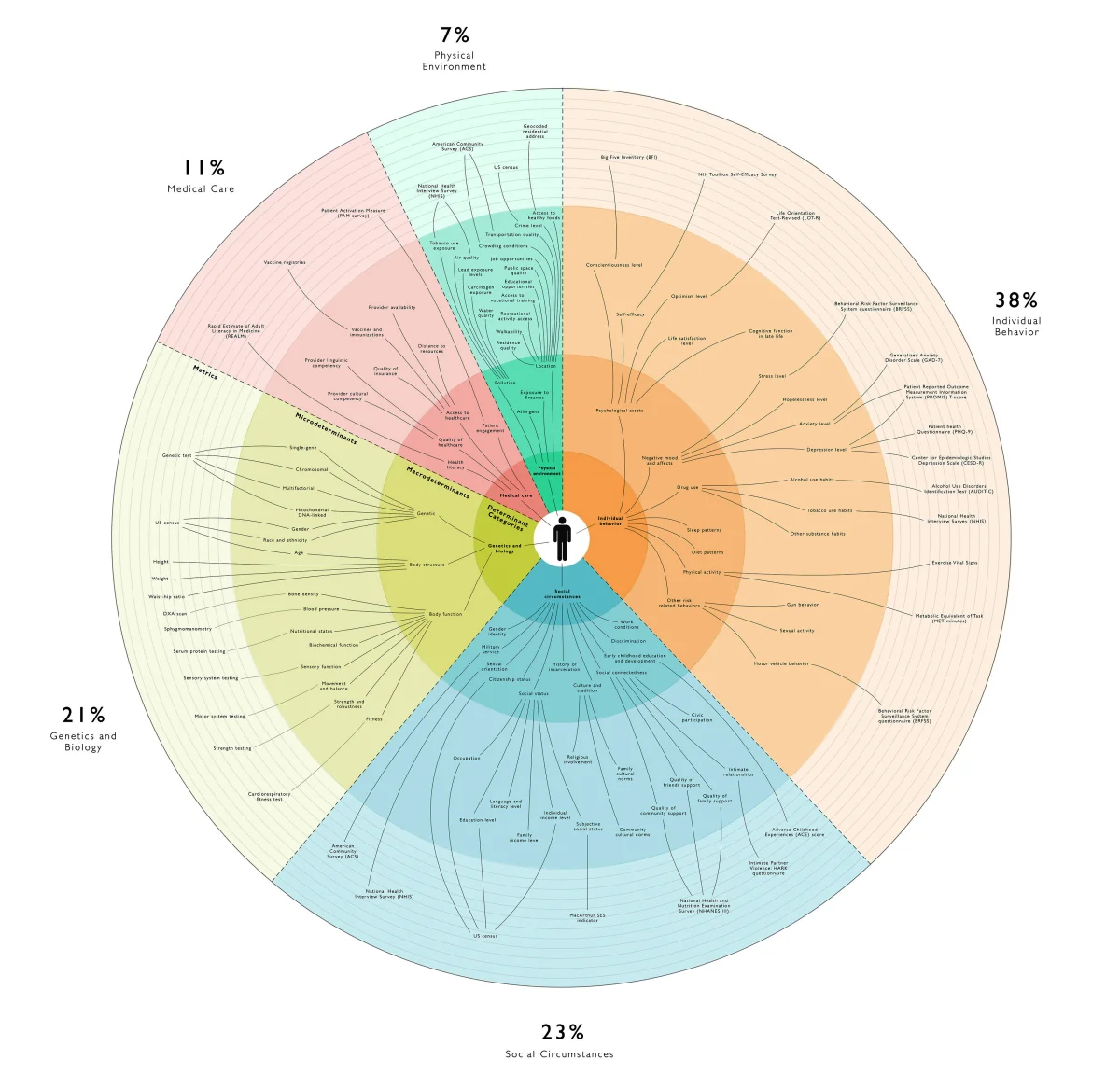 Large concentric-ring infographic titled categorically with 'Determinant Categories' at center surrounded by five colored wedges: Genetics and Biology (21%), Individual Behavior (38%), Medical Care (11%), Physical Environment (7%), Social Circumstances (23%). Each wedge fans out into specific subcategories such as gender, age, sleep patterns, vaccines, water quality, education level, gender identity, and income