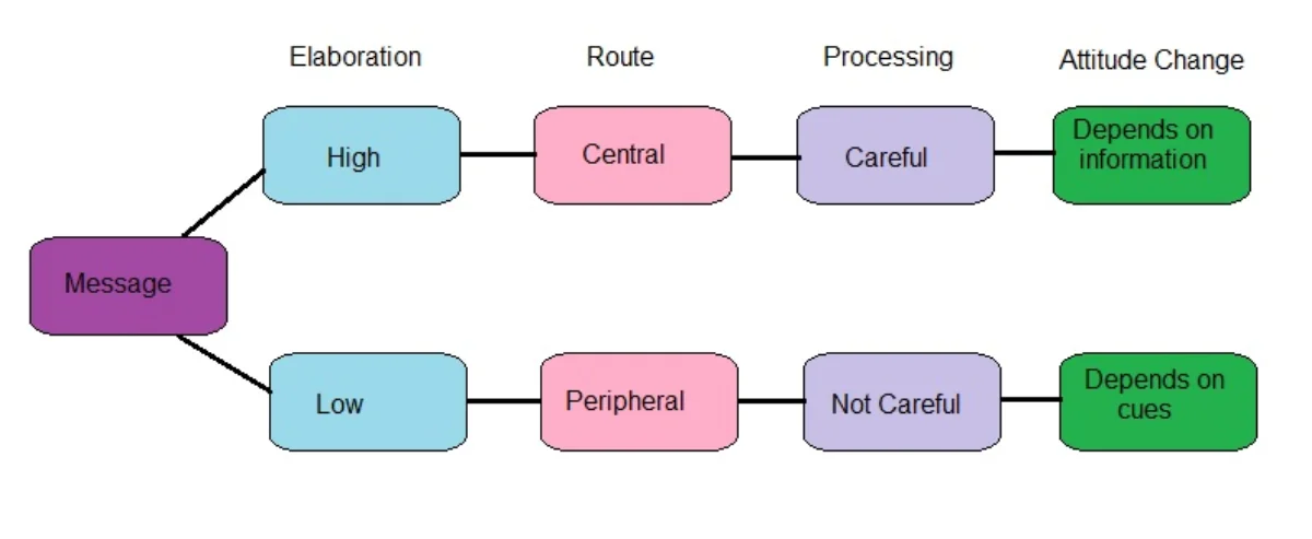 Two-track flow chart of the Elaboration Likelihood Model. From a single message, a high-elaboration path leads through the central route, careful processing, and attitude change that depends on information quality. A low-elaboration path leads through the peripheral route, not-careful processing, and attitude change that depends on superficial cues