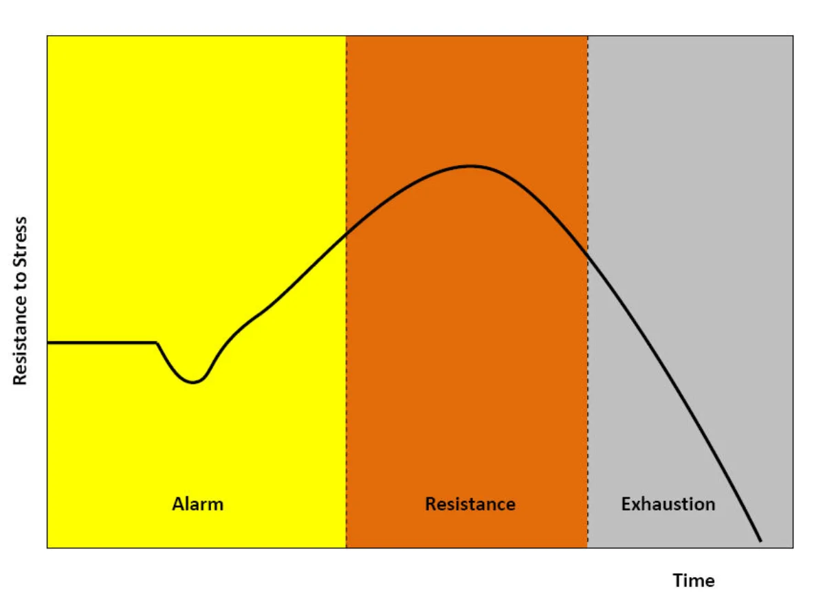 Three-phase line graph of resistance to stress over time, with the curve starting at baseline, dipping briefly during the yellow Alarm phase, climbing to a peak during the orange Resistance phase, then crashing well below baseline in the gray Exhaustion phase