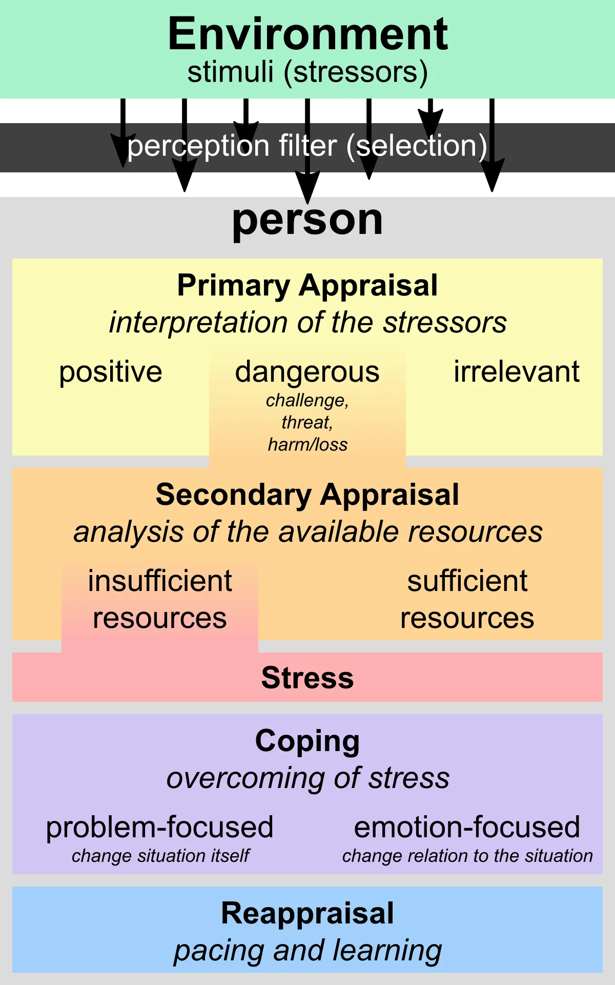 Vertical flow chart of Lazarus's transactional stress model: environmental stressors pass through a perception filter to a person; primary appraisal categorizes the stimulus as positive, dangerous, or irrelevant; secondary appraisal evaluates resources as sufficient or insufficient; resulting stress triggers problem-focused or emotion-focused coping, leading to reappraisal
