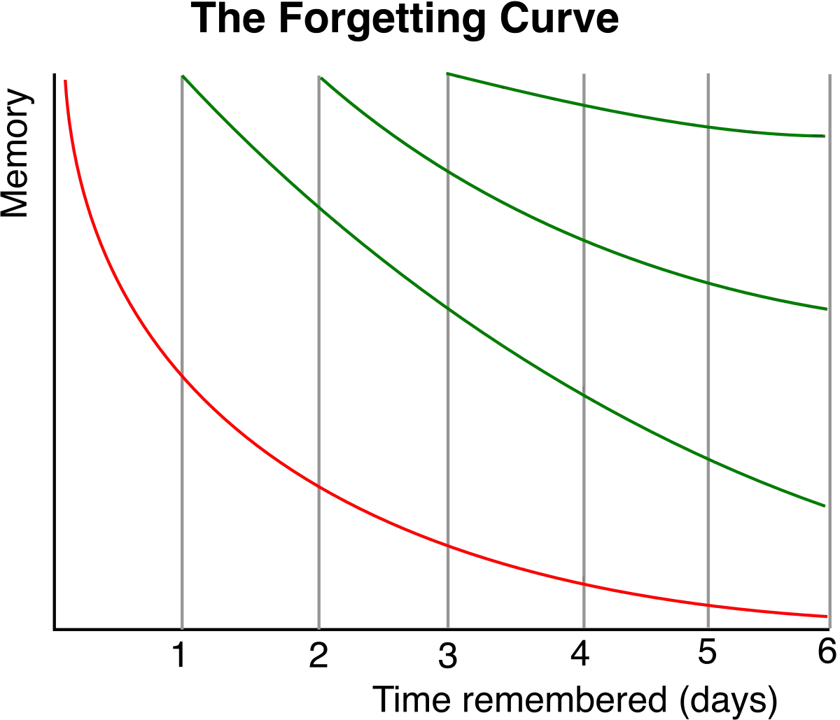 A line graph showing memory retention on the y-axis vs days on the x-axis. The red curve drops sharply in the first day and continues to decay slowly. Stacked above are several green curves at progressively higher starting points (days 1, 2, 3) representing relearning sessions, each decaying more slowly than the original