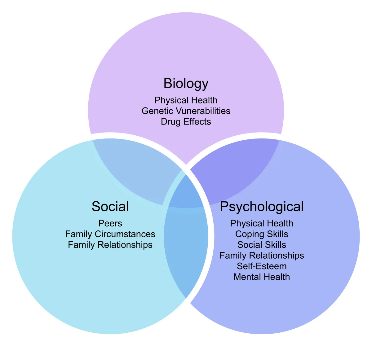 Three overlapping circles in a Venn diagram labeled Biology (top, listing physical health, genetic vulnerabilities, drug effects), Social (left, listing peers, family circumstances, family relationships), and Psychological (right, listing coping skills, social skills, family relationships, self-esteem, mental health). The circles overlap in the center to indicate that the three domains interact