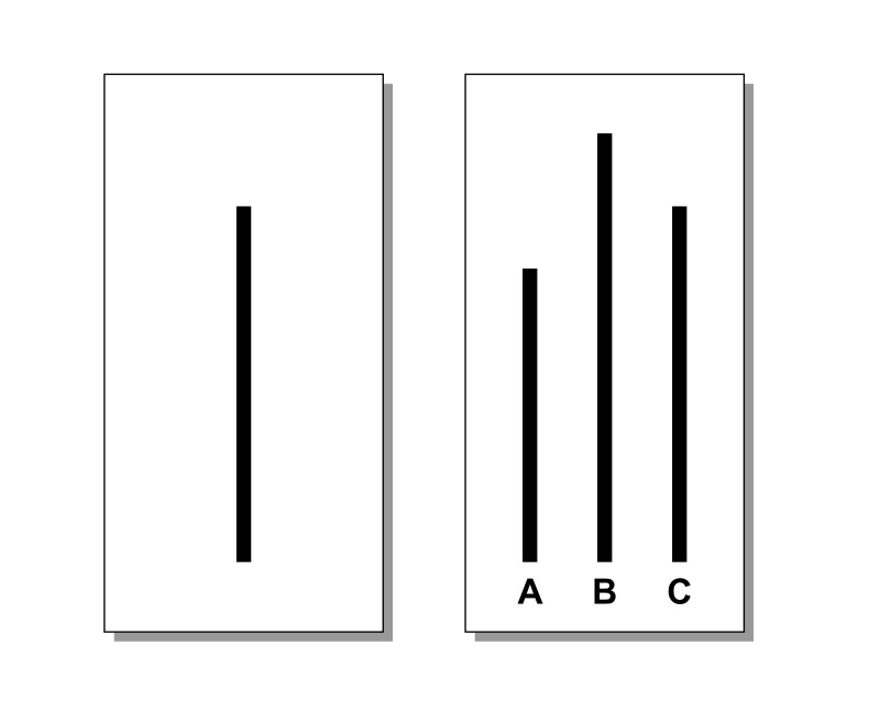 Two cards from Asch's conformity experiment side by side. The left card shows a single black vertical 'standard' line. The right card shows three comparison vertical lines labeled A, B, and C of different lengths; line C clearly matches the standard's length while A is shorter and B is longer