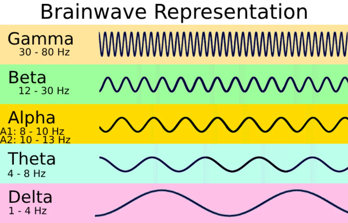 Five color-coded panels stacked vertically, each showing a sine-wave-like EEG trace at a different frequency: gamma 30-80 Hz (very fast), beta 12-30 Hz (fast), alpha 8-13 Hz (medium), theta 4-8 Hz (slow), delta 1-4 Hz (very slow, largest amplitude)