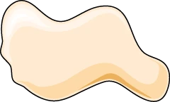 Simple cartoon illustration of a folded protein, representing the apoprotein portion of a conjugated protein before a prosthetic group is added