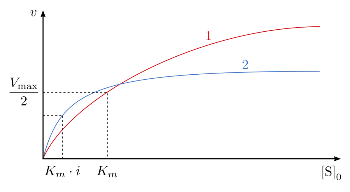 Michaelis-Menten plot showing uncompetitive inhibition. The inhibited curve has a lower Vmax and a lower Km than the control curve