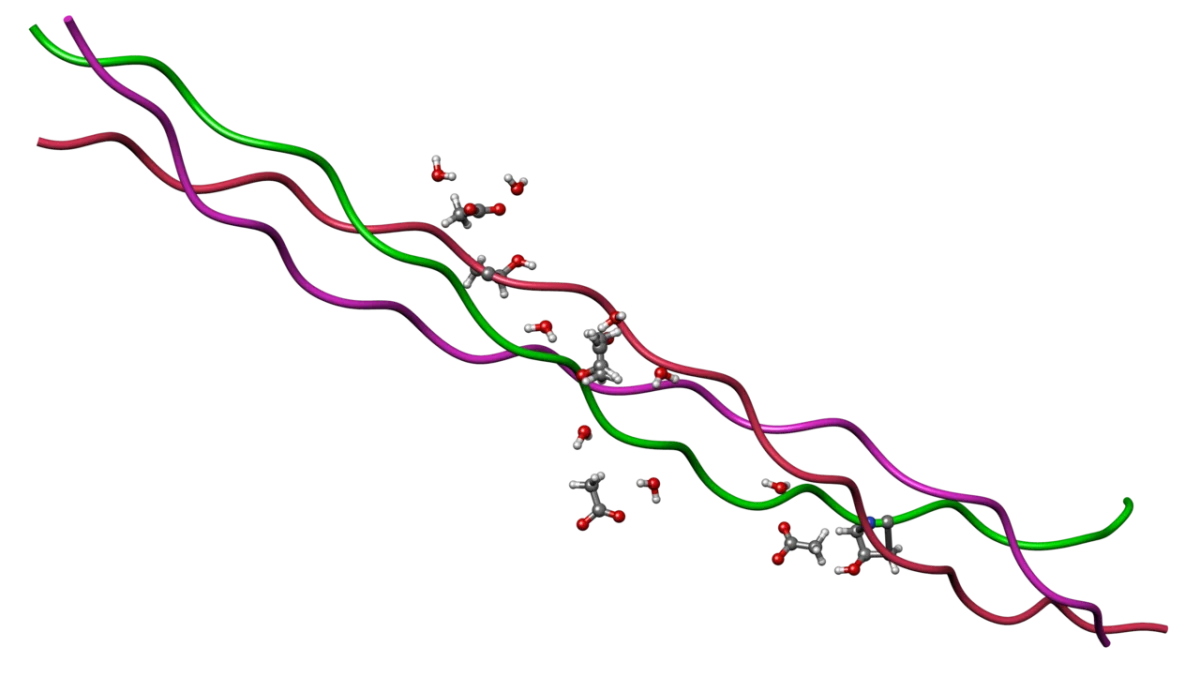 Three polypeptide chains wrapping around each other in a right-handed triple helix with glycine residues tucked into the interior, demonstrating the collagen structure