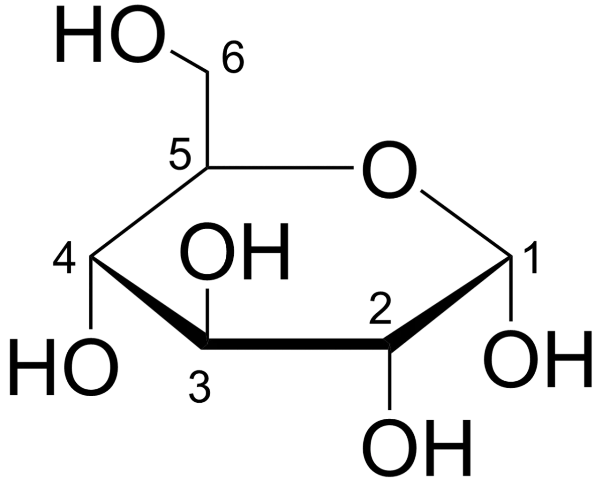 Haworth projection of glucose showing a six-membered ring in flat hexagon shape with hydroxyl groups drawn up or down at each ring position