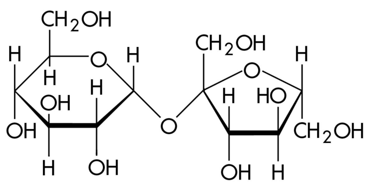 Structure of sucrose showing glucose connected to fructose through both of their anomeric carbons (C1 of glucose to C2 of fructose) making sucrose non-reducing