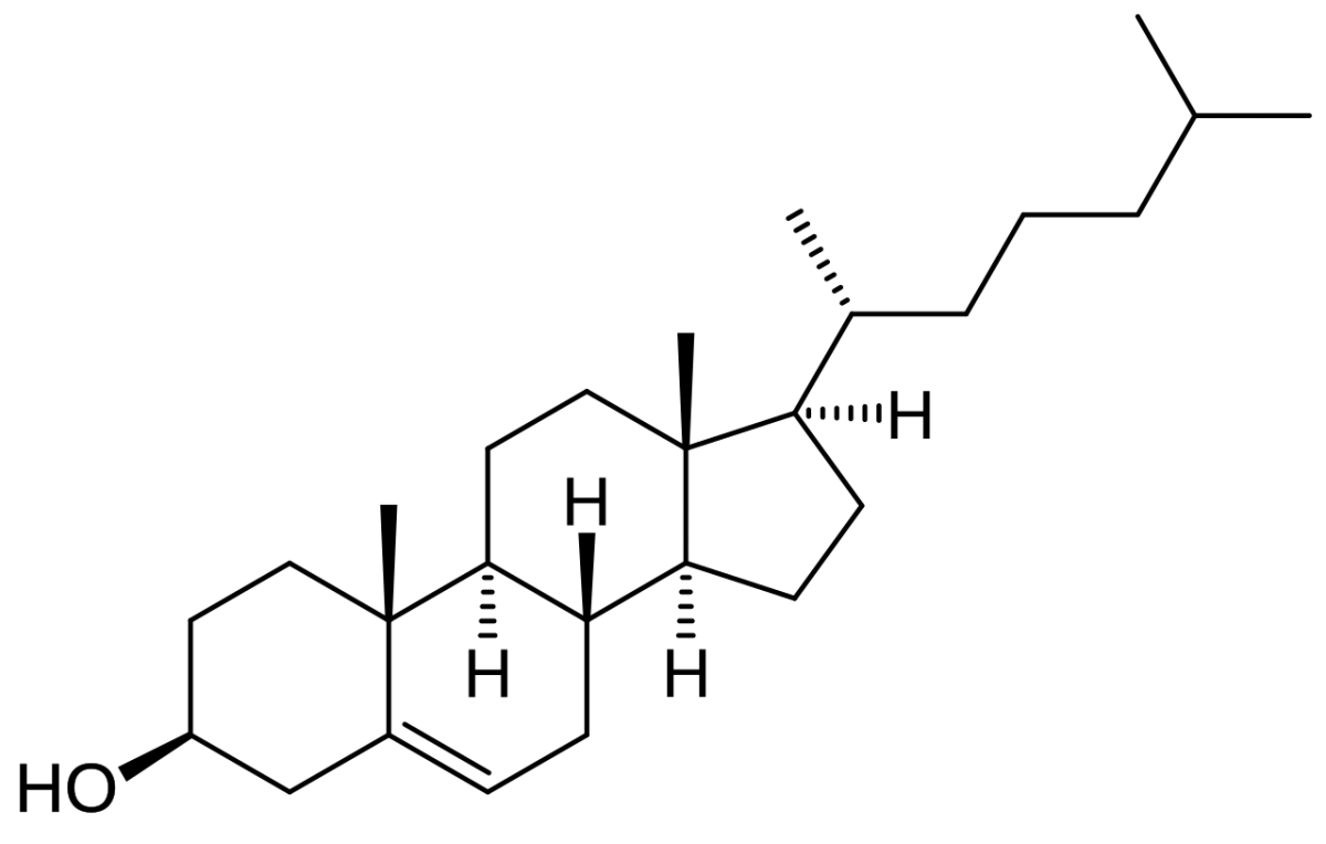 Structure of cholesterol with the four-ring steroid nucleus, hydroxyl group at C3, double bond between C5 and C6, and a branched aliphatic side chain at C17
