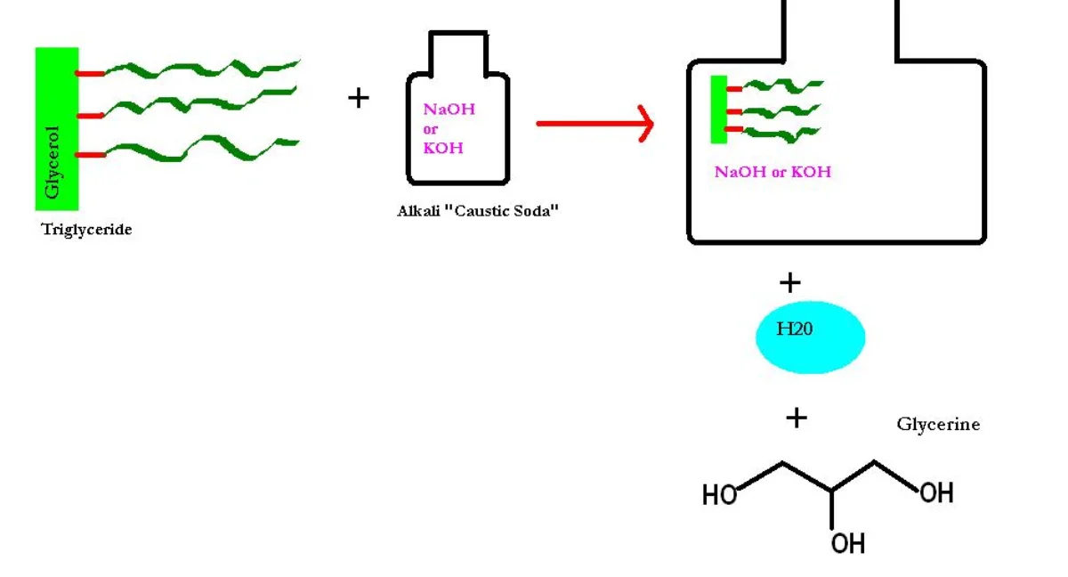 Saponification reaction showing a triglyceride plus NaOH producing glycerol and three fatty acid sodium salts that function as soap molecules