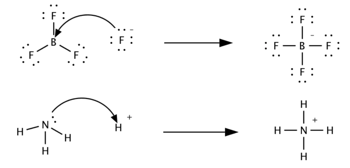 Lewis acid-base reactions showing BF₃ accepting a lone pair from F⁻ and NH₃ donating a lone pair to H⁺