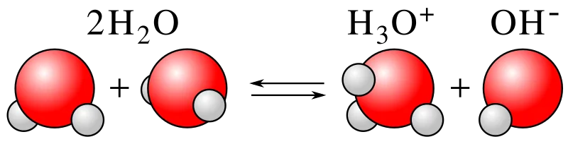 Diagram of water autoionization showing one water molecule donating a proton to another, forming a hydronium ion H3O+ and a hydroxide ion OH-, illustrating conjugate acid-base pairs