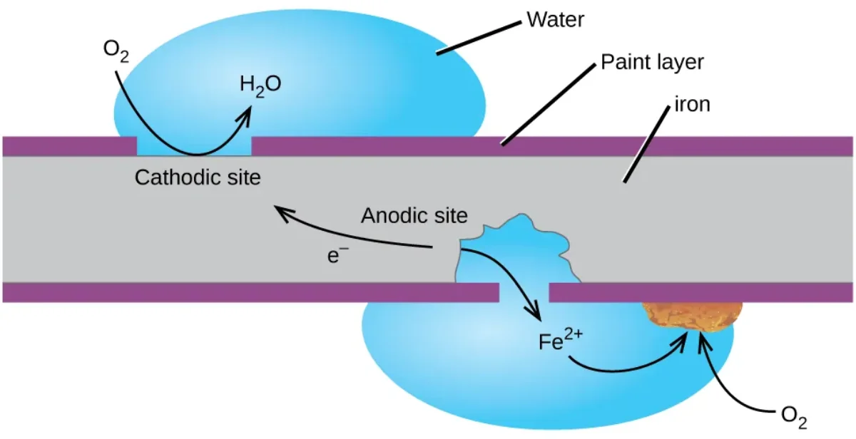 Labeled diagram of iron corrosion showing cathodic and anodic regions on an iron surface, with water and oxygen at the cathode site and Fe2+ ions dissolving at the anode site, illustrating slow electrochemical oxidation