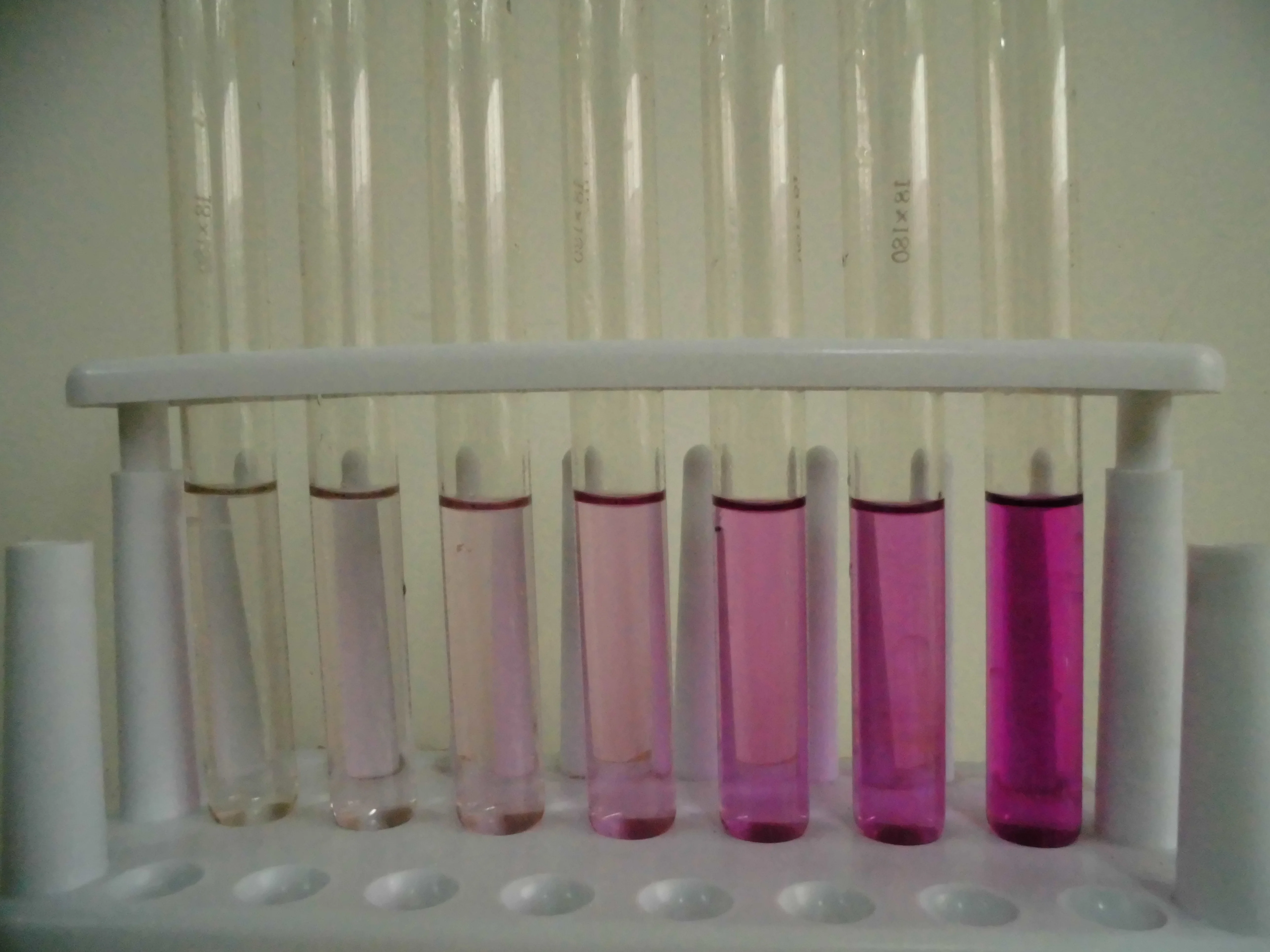 Photograph of potassium permanganate KMnO4 solutions showing the characteristic deep purple color at different concentrations