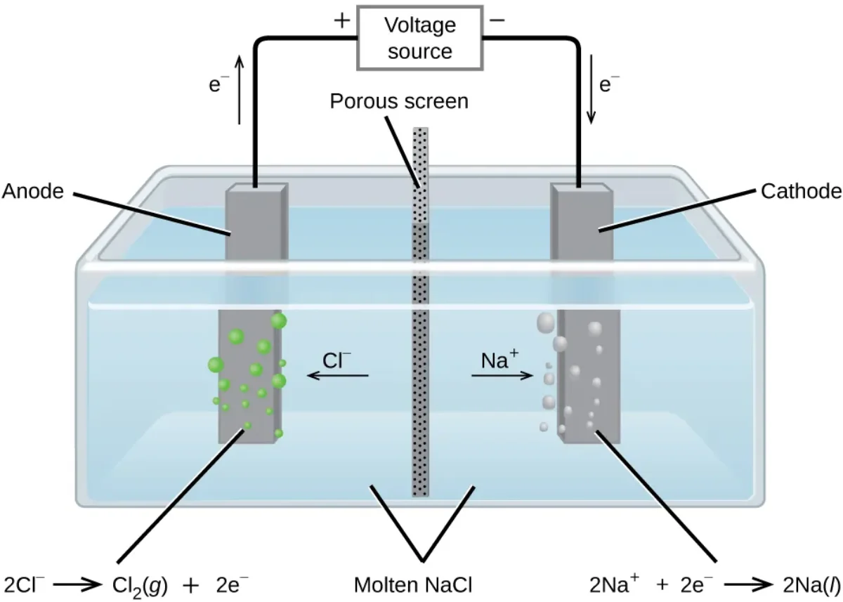 Diagram of electrolysis of molten sodium chloride showing a voltage source connected to an anode and cathode in molten NaCl, with chloride ions migrating toward the anode where Cl2 gas forms, and sodium ions migrating toward the cathode where liquid sodium metal deposits