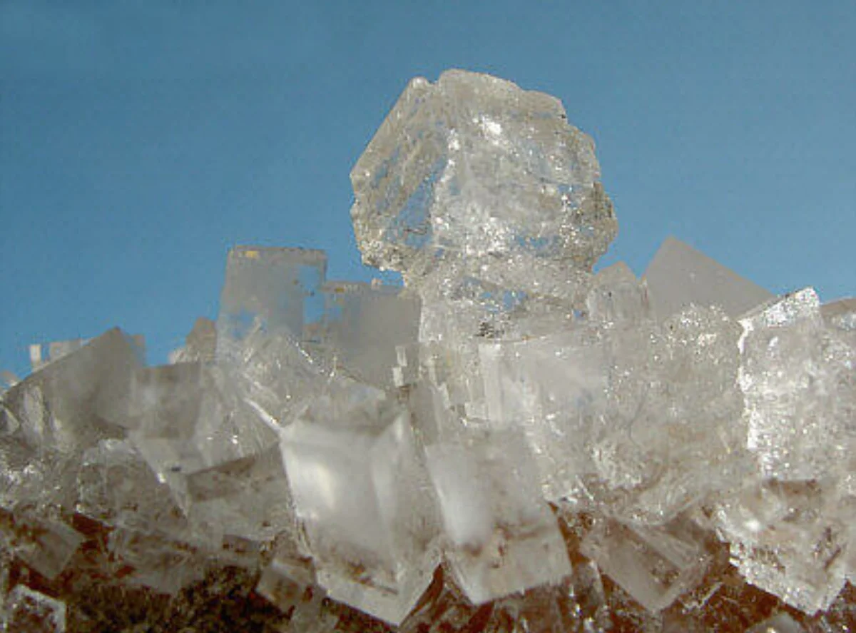 Close-up photograph of real halite (NaCl) salt crystals showing characteristic cubic crystal habit with flat faces meeting at 90-degree angles