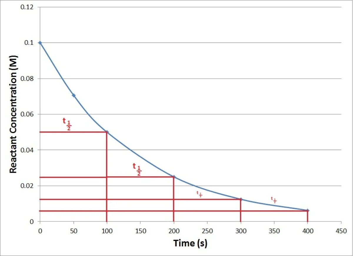 Graph of reactant concentration in molarity versus time in seconds for a first-order reaction, showing an exponential decay curve starting at 0.10 M with red brackets marking four successive half-life intervals of equal length approximately 100 seconds each, as concentration drops from 0.10 to 0.05 to 0.025 to 0.0125 to 0.00625 M