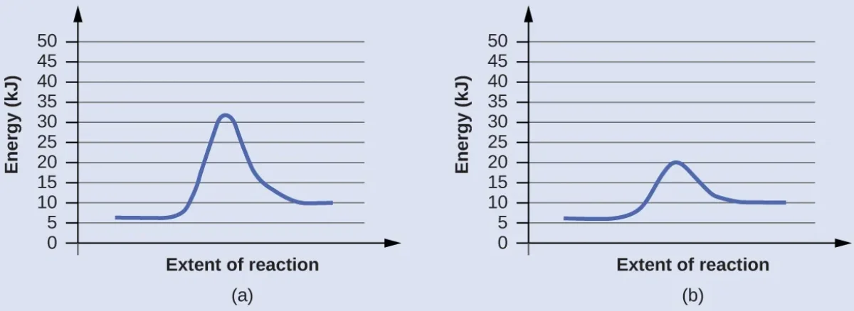 Two reaction coordinate diagrams side by side: (a) uncatalyzed reaction with activation energy of approximately 30 kJ showing a single high peak, (b) catalyzed reaction with activation energy reduced to approximately 20 kJ showing a lower peak, both reactions having the same reactant and product energy levels