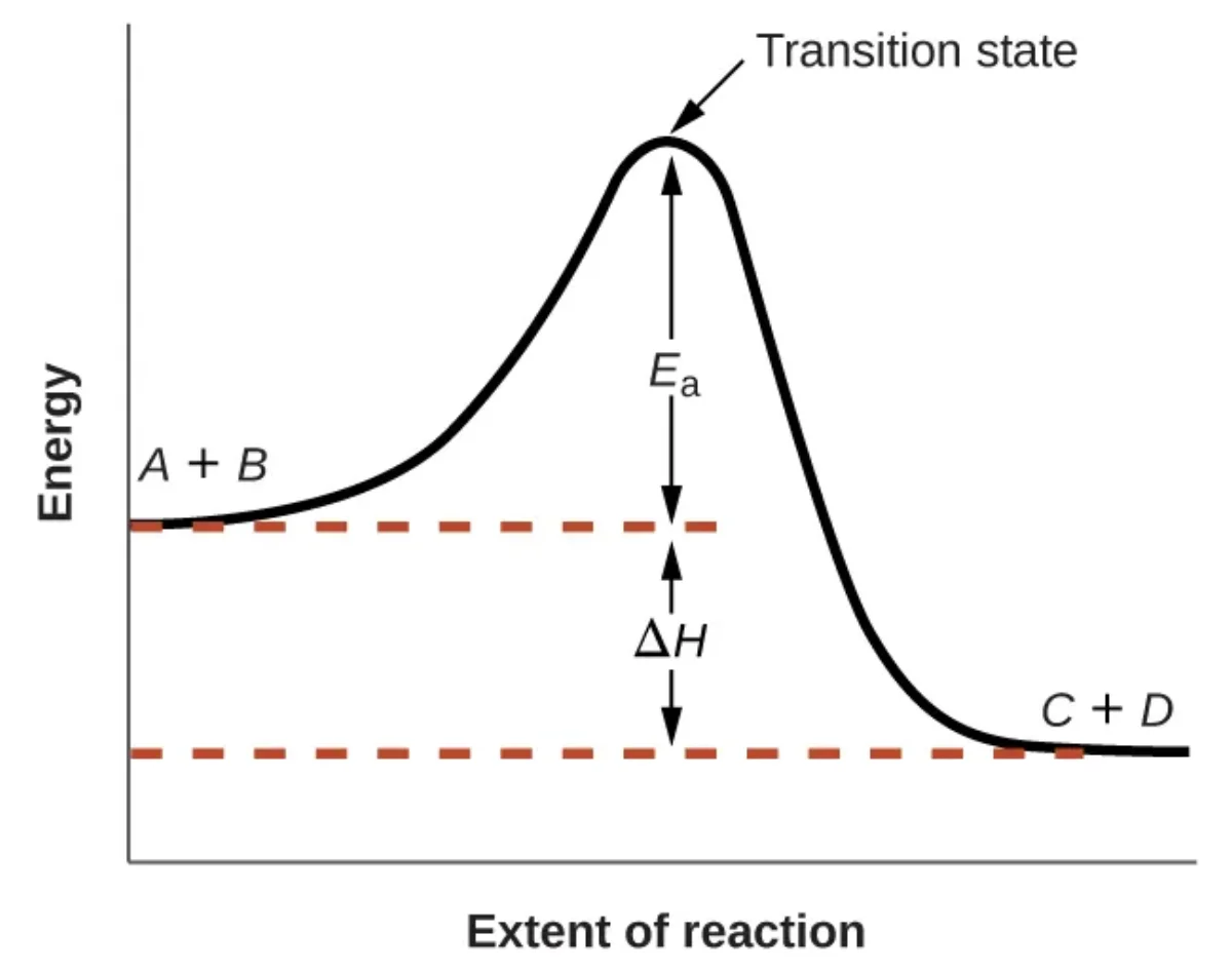 Reaction coordinate diagram showing reactants A+B at an initial energy level, rising to a transition state peak with activation energy Ea labeled, then descending to products C+D at a lower energy level, with delta H shown as the energy difference between reactants and products