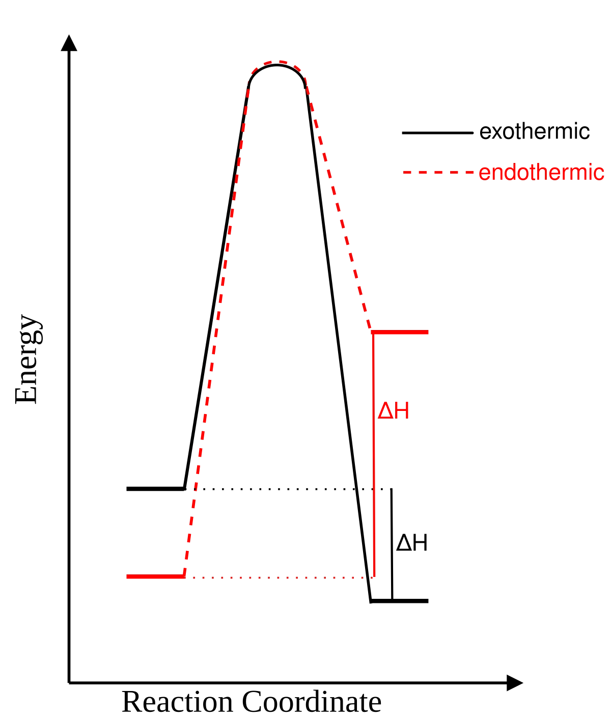Comparison of exothermic (solid black line, products lower than reactants) and endothermic (dashed red line, products higher than reactants) reaction coordinate diagrams, with delta H labeled for each, showing that both reactions pass through the same high-energy transition state