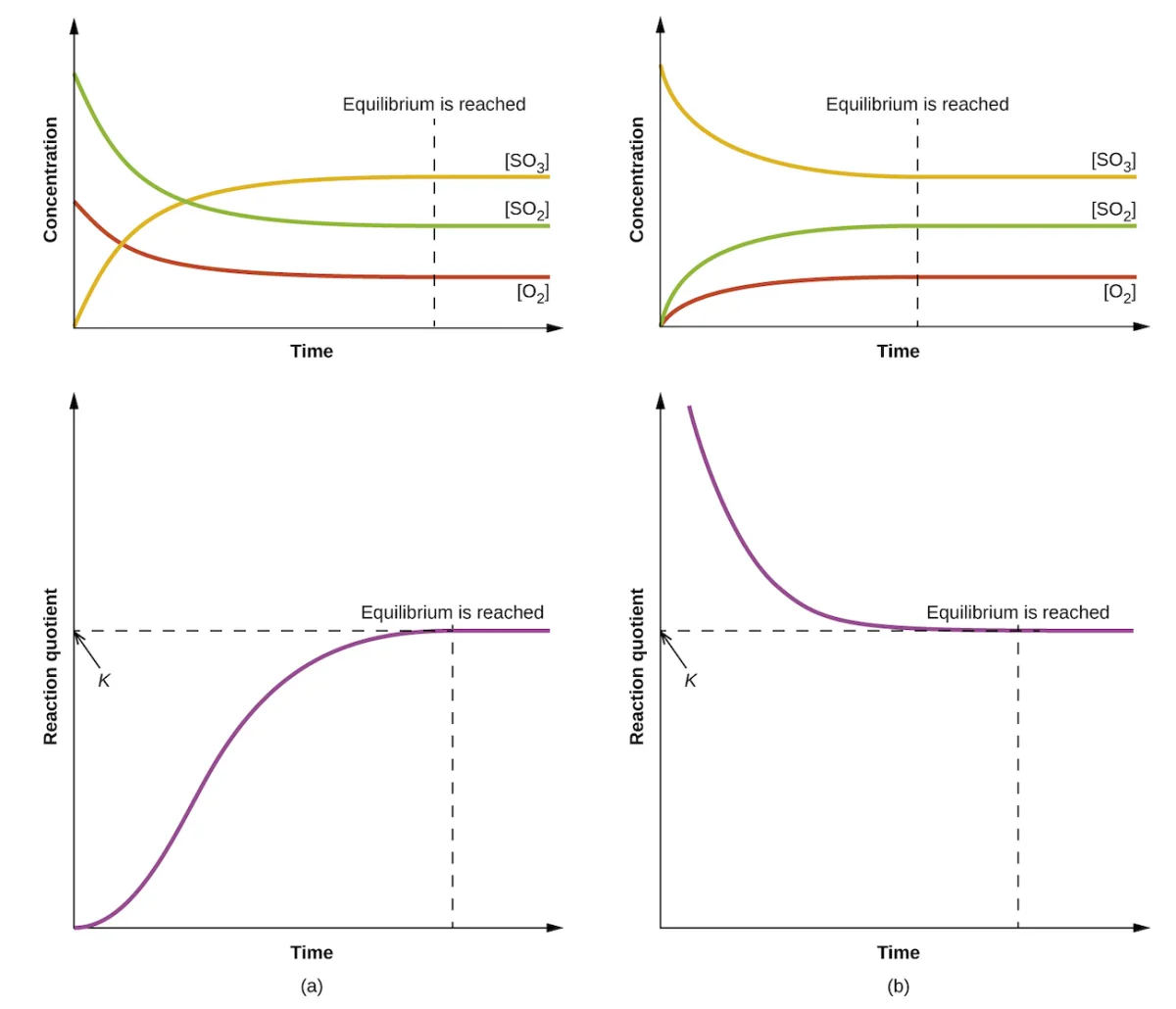 Four graphs showing the SO2, O2, and SO3 system approaching equilibrium from two different starting conditions: (a) starting with excess reactants where Q starts below K and increases, and (b) starting with excess products where Q starts above K and decreases, both converging to the same equilibrium concentrations and the same K value