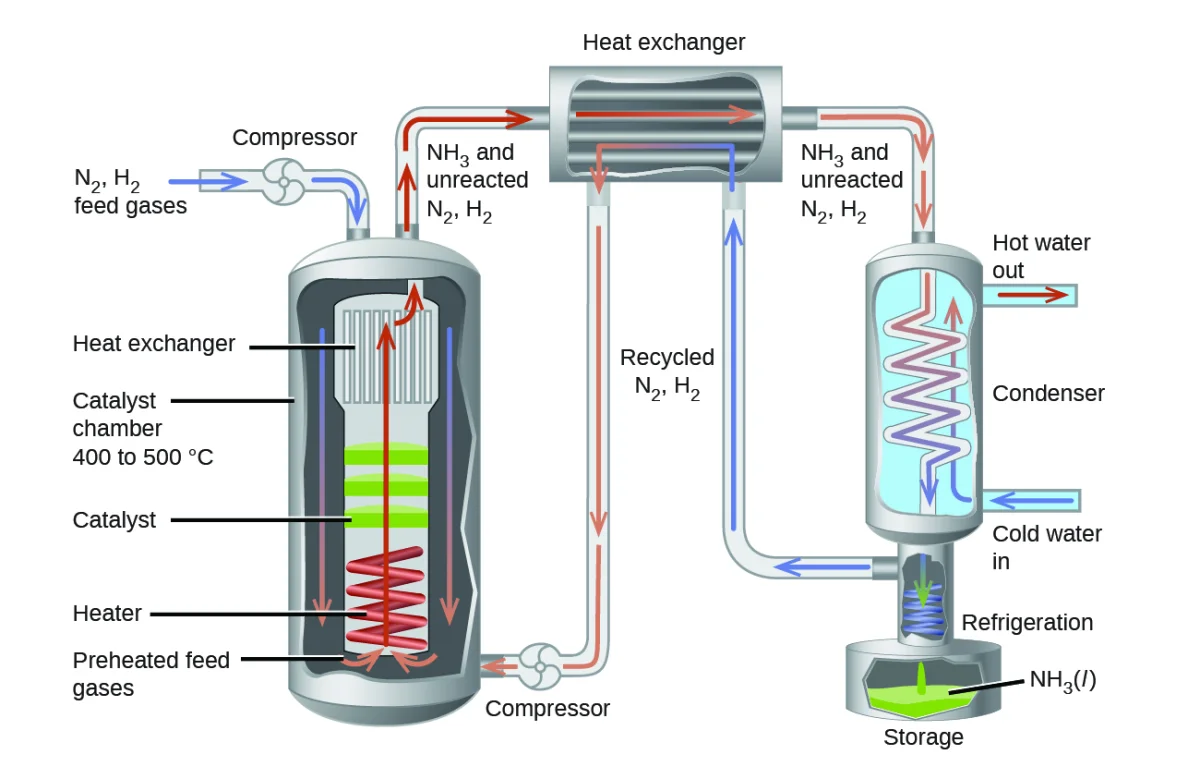 Detailed labeled diagram of the industrial Haber process showing N2 and H2 feed gases entering a compressor, passing through a catalyst chamber at 400 to 500 degrees C, then through heat exchangers and a condenser where NH3 is liquefied and collected in storage while unreacted N2 and H2 are recycled back to the reactor