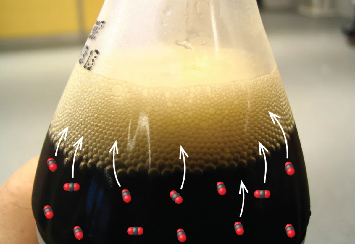 Photograph of a flask of dark carbonated liquid with CO2 molecular models and upward arrows overlaid, showing dissolved CO2 molecules escaping from solution into the gas phase when pressure is reduced by opening the container