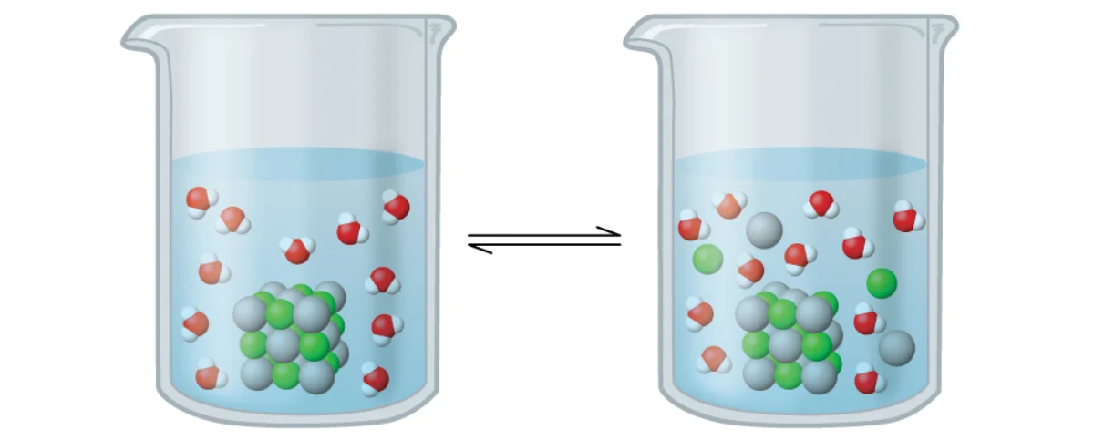 Two beakers showing the dissolution equilibrium of an ionic solid: the left beaker shows the solid lattice with some ions dissolving into the water, and the right beaker shows more ions in solution with the solid partially dissolved, with a double arrow between them indicating the reversible equilibrium between dissolution and precipitation