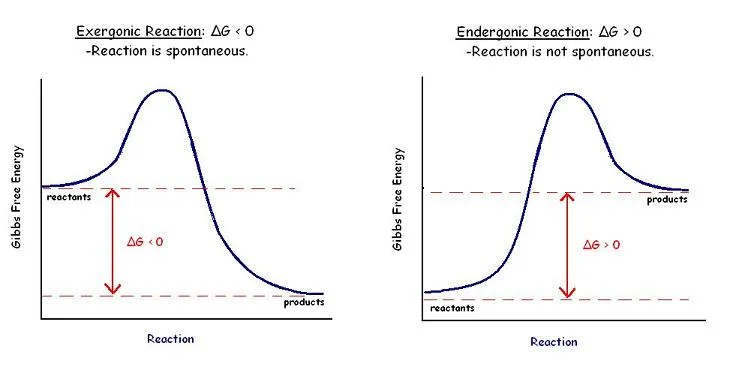 Diagram showing the relationship between Gibbs free energy, enthalpy, and entropy, illustrating how deltaG determines spontaneity of a reaction