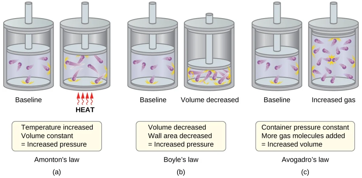 Three panels showing how kinetic molecular theory explains gas laws. Panel (a) shows Gay-Lussac's law: heating increases molecular speed, causing more forceful wall collisions and increased pressure at constant volume. Panel (b) shows Boyle's law: decreasing volume increases collision frequency with walls. Panel (c) shows Avogadro's law: adding more molecules at constant pressure requires increased volume.