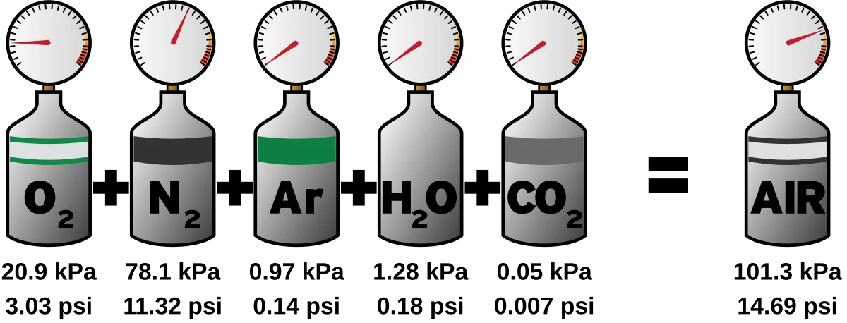 Diagram showing Dalton's law of partial pressures for atmospheric gases. Individual gas cylinders for O2 (20.9 kPa), N2 (78.1 kPa), Ar (0.97 kPa), H2O (1.28 kPa), and CO2 (0.05 kPa) with pressure gauges, summing to total air pressure of 101.3 kPa.