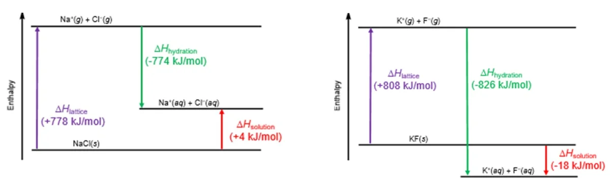 Enthalpy diagram comparing the dissolution of NaCl (slightly endothermic) and KF (exothermic), showing lattice energy as the energy to break apart the crystal and hydration energy as the energy released when ions are solvated. The difference determines whether dissolution is exothermic or endothermic.