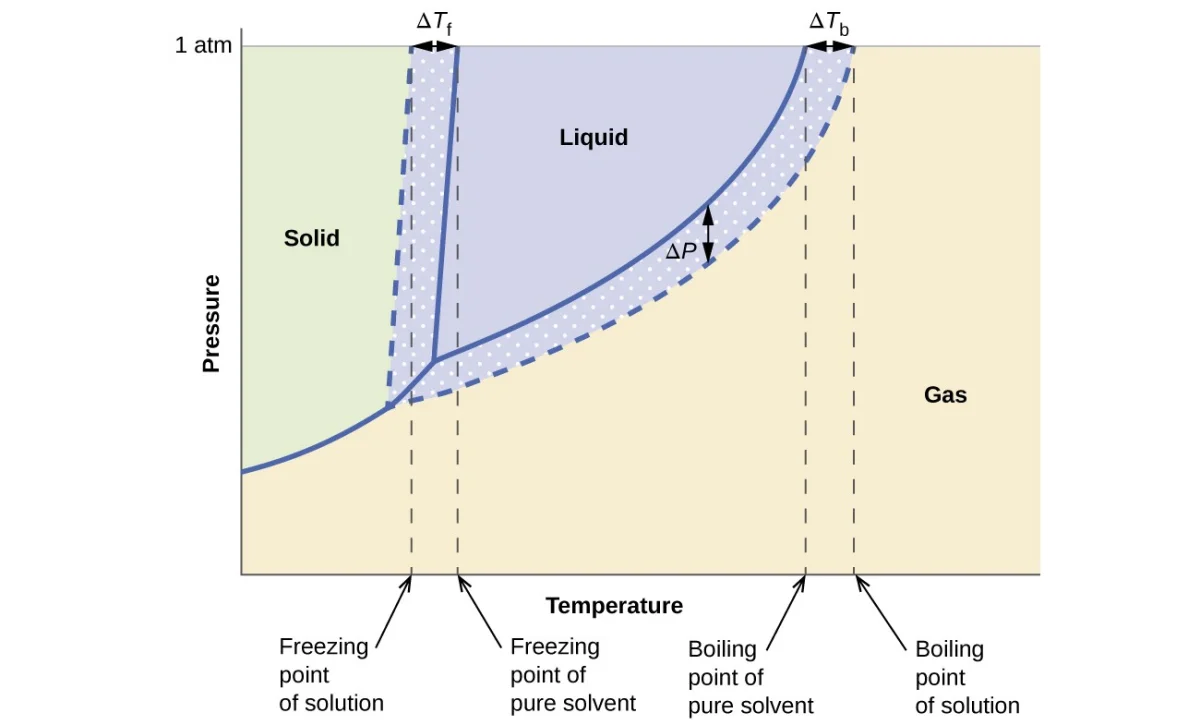 Phase diagram comparing pure water (solid lines) and an aqueous solution (dashed lines). The solution's liquid-gas curve is shifted right (higher boiling point) and the solid-liquid curve is shifted left (lower freezing point), showing that the liquid phase region expands when solute is added.
