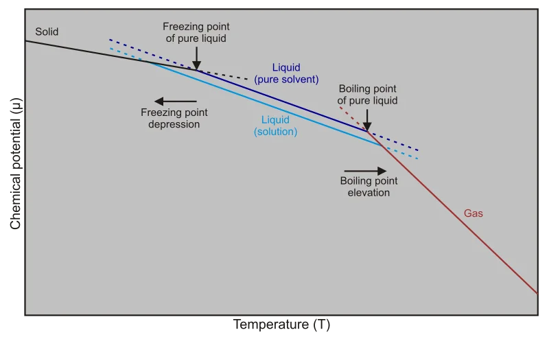 Phase diagram showing how the presence of a solute shifts the freezing point lower and the boiling point higher compared to the pure solvent, with the liquid region expanding