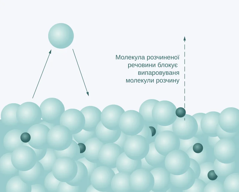 Molecular diagram showing how dissolved solute molecules at the liquid surface block some solvent molecules from escaping into the vapor phase, reducing vapor pressure