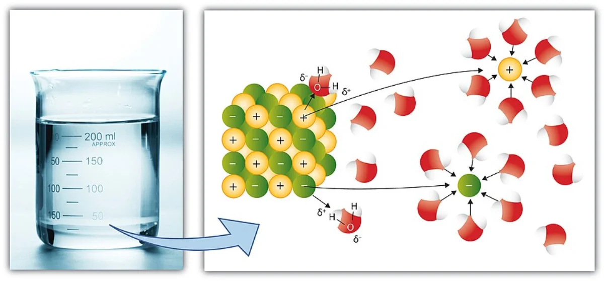 Diagram of NaCl dissolving in water showing Na+ ions surrounded by water molecules with oxygen facing the cation, and Cl- ions surrounded by water molecules with hydrogen facing the anion, demonstrating ion-dipole interactions and hydration shells.