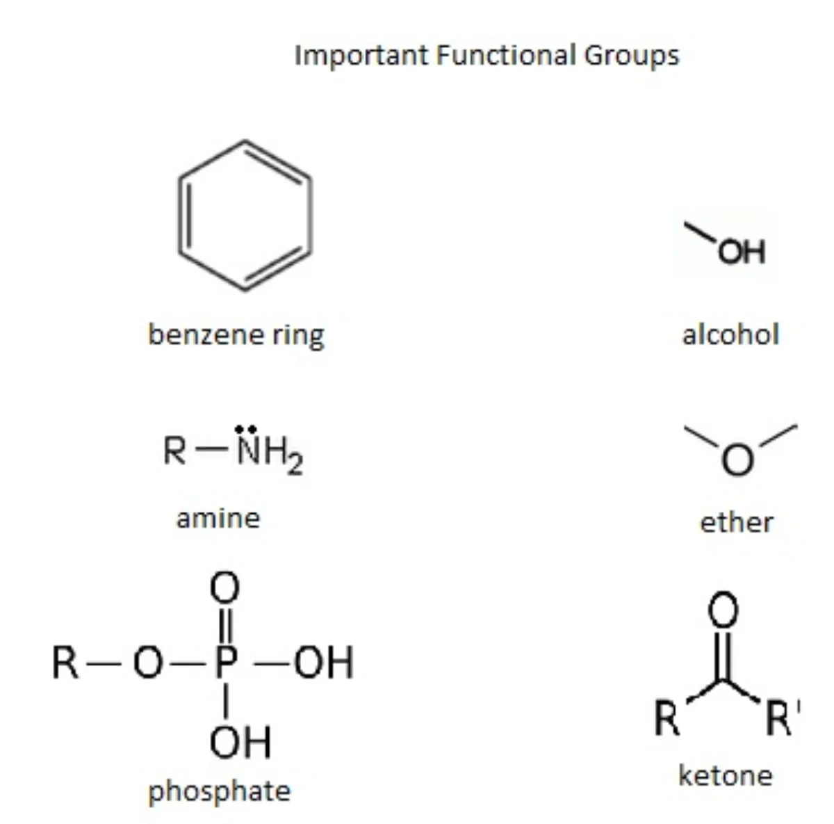 Reference chart of the six most important organic functional groups: hydroxyl, carbonyl, carboxyl, amino, ester, and ether