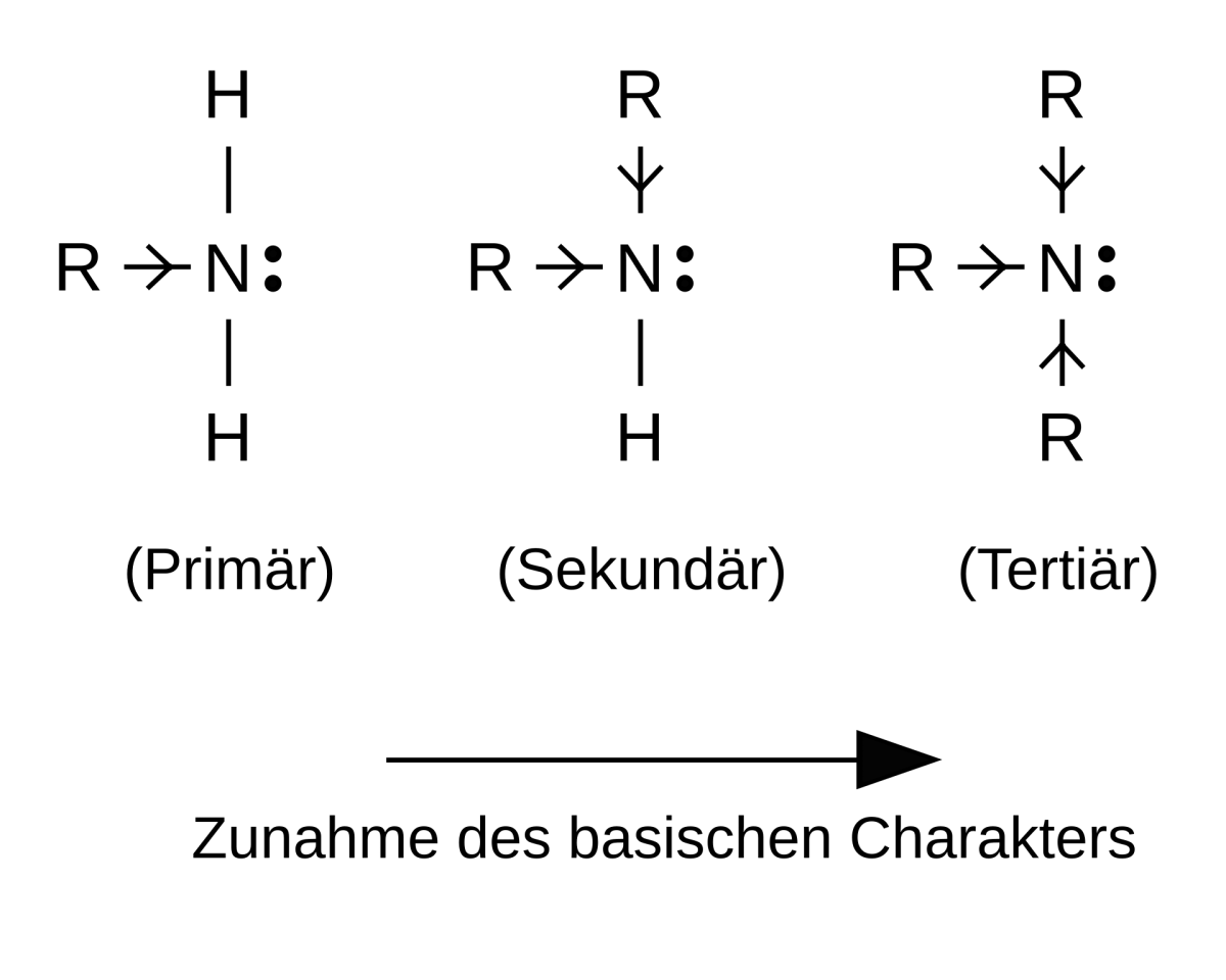 Comparison of amine basicity showing alkyl amines more basic than ammonia and anilines much less basic due to resonance