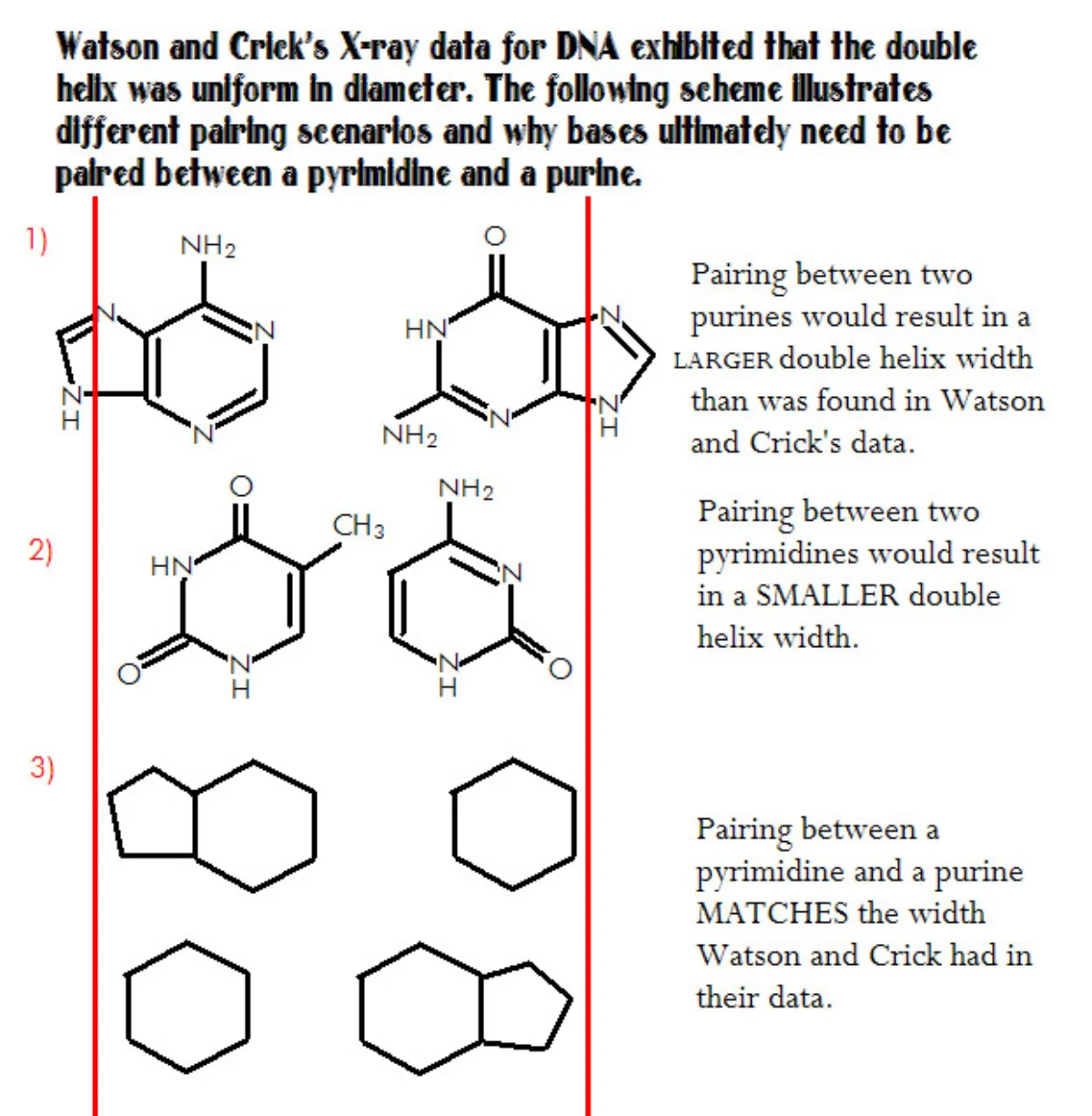 Structures of the five DNA and RNA nitrogen bases: adenine, guanine, cytosine, thymine, uracil