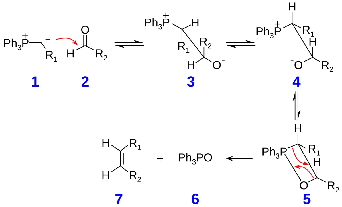 Wittig reaction mechanism: phosphonium ylide attacks carbonyl forming an oxaphosphetane, which decomposes to alkene plus triphenylphosphine oxide