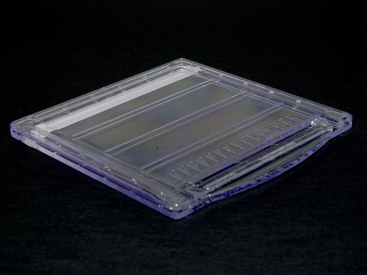 SDS-PAGE gel showing protein bands separated by molecular weight after staining