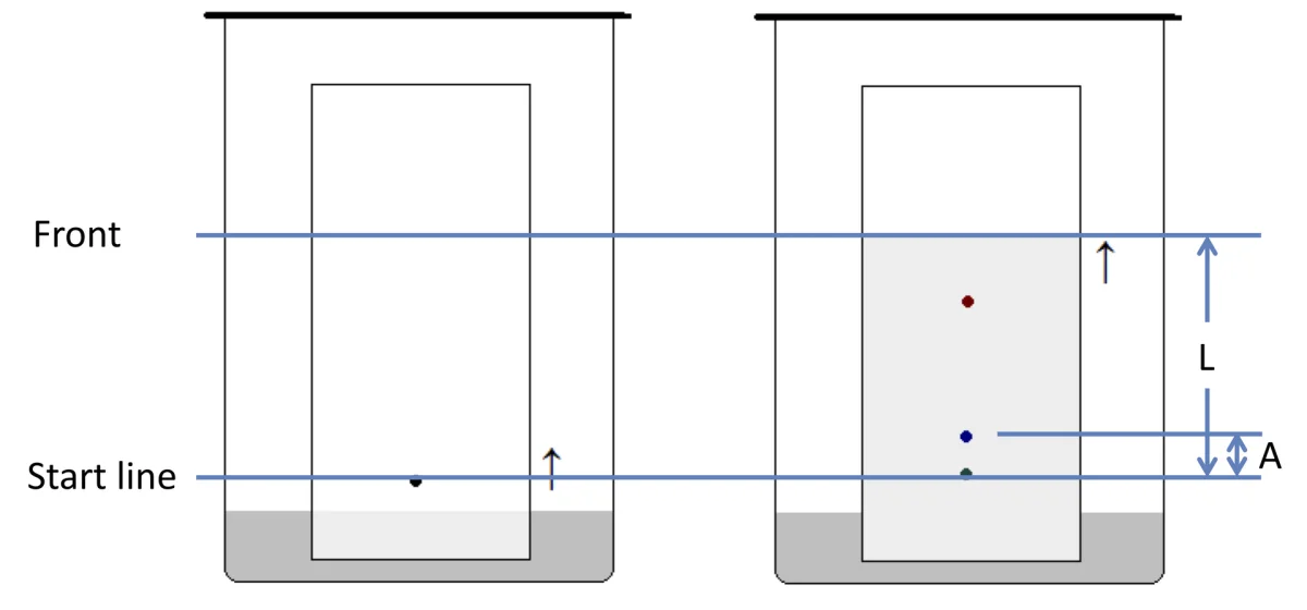 TLC plate with labeled distance measurements showing how Rf is calculated as compound travel distance divided by solvent front distance