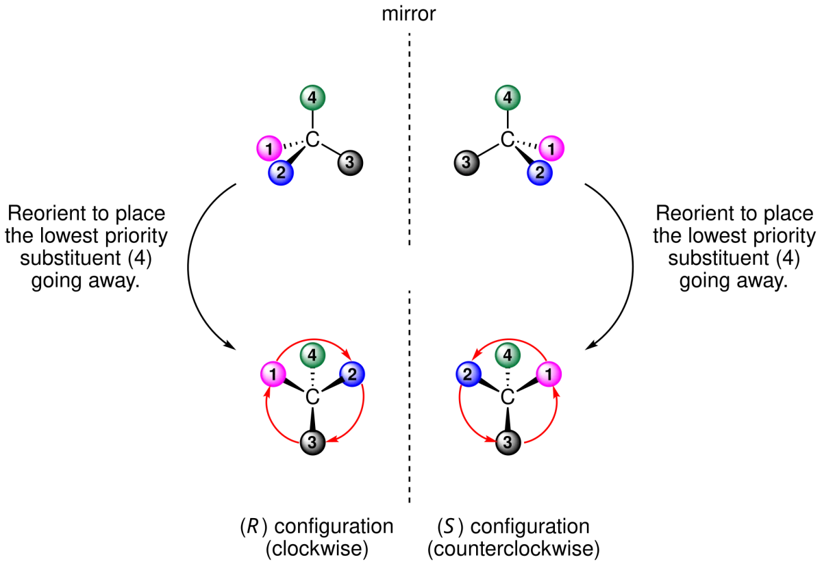 A chiral center with four distinct substituents ranked by Cahn-Ingold-Prelog priority, which is the next step once a chiral center has been identified