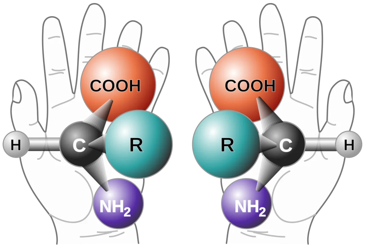 Mirror-image hands representing enantiomers — the stereoisomer branch of the isomer classification tree