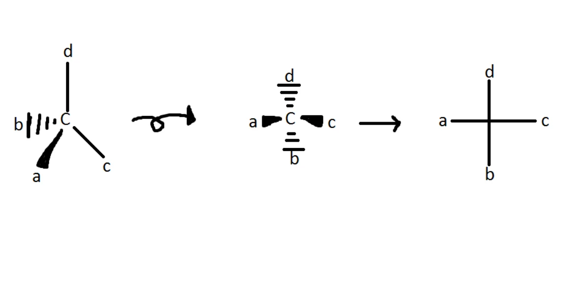Fischer projection conversion showing 3D structure flattened to a 2D cross diagram with horizontal lines coming forward and vertical lines going back